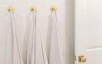 EMTEK Transitional Brass Single Hook with Rosette